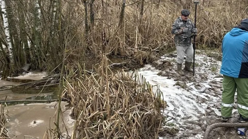 Фото: Минэкологии МО