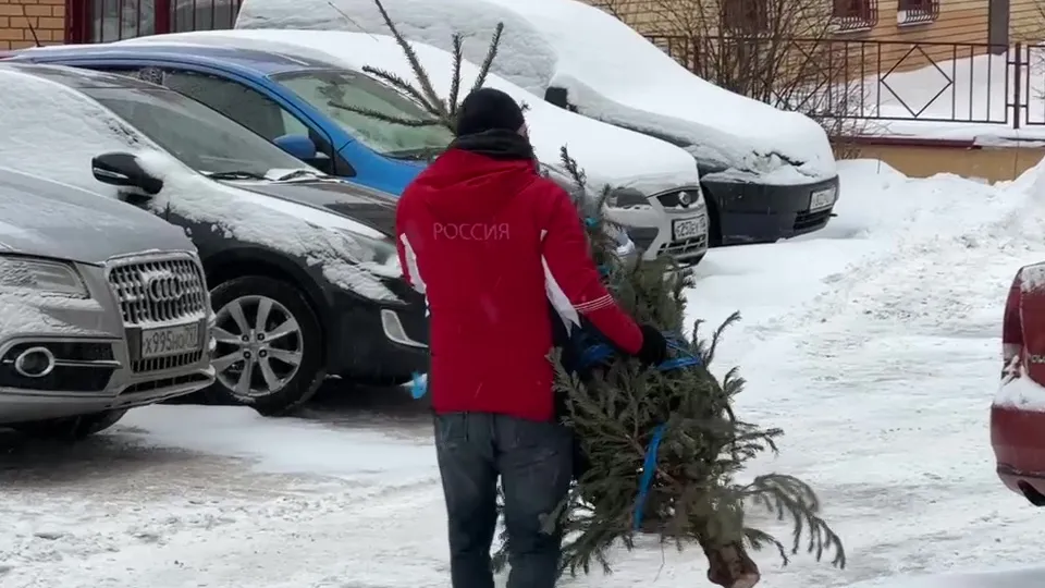 Фото: МедиаБанк Подмосковья/Ксения Казакова
