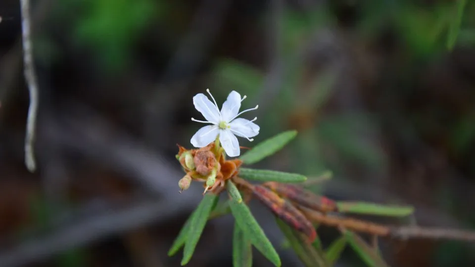 Фото: МедиаБанк Подмосковья/Михаил Мартыненко