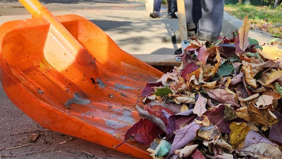 Фото: Ольга Антонова