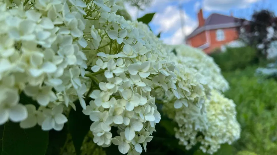 Фото: REGIONS/Елена Фурман