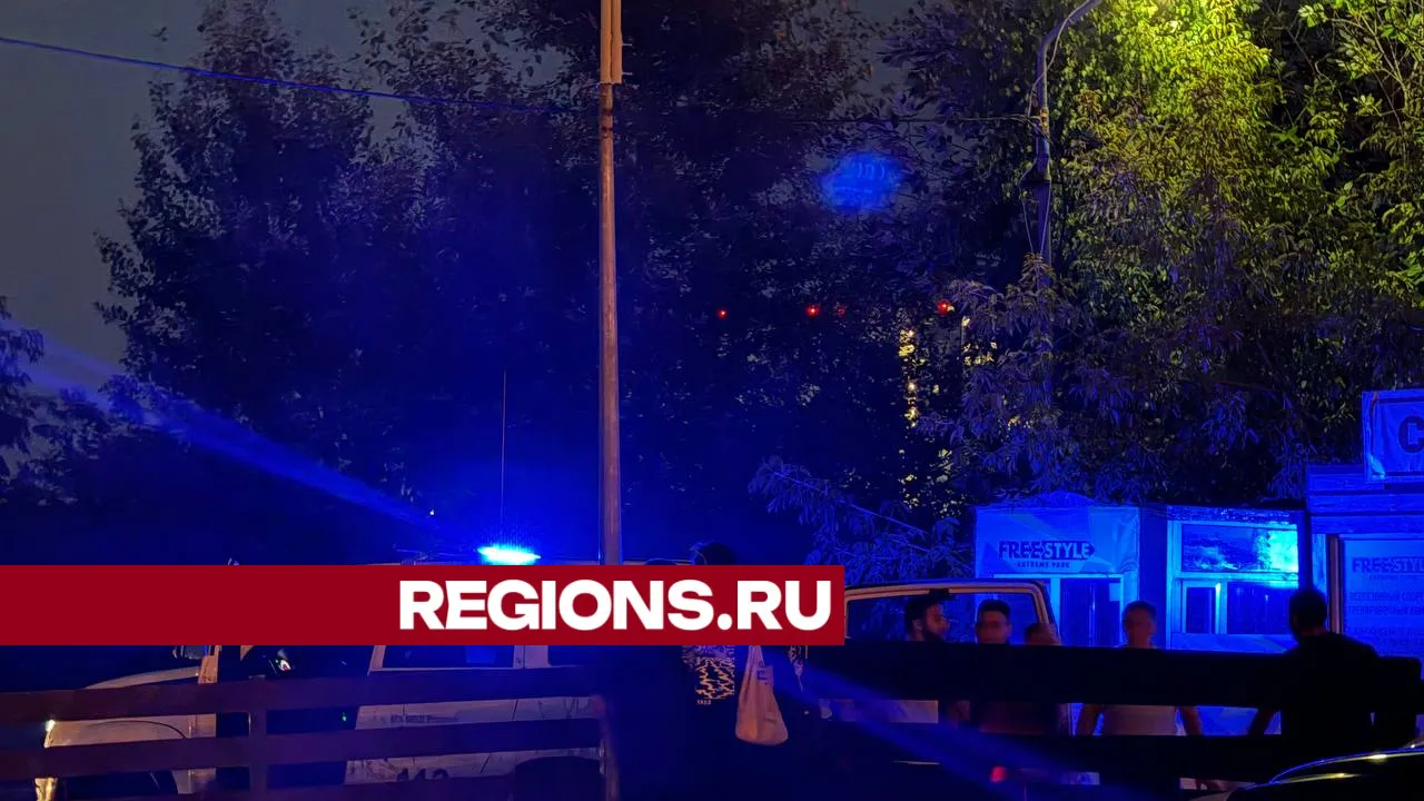 Фото: REGIONS/Юлия Павлова