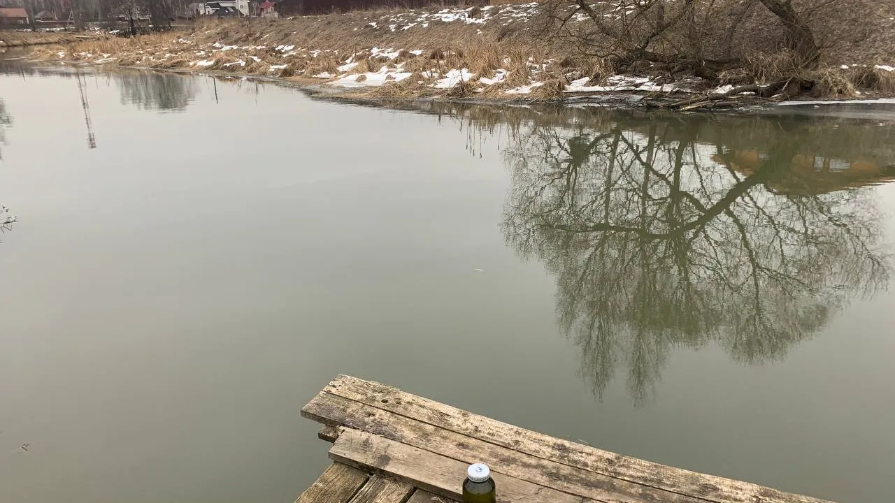 Фото: Министерство экологии и природопользования Московской области