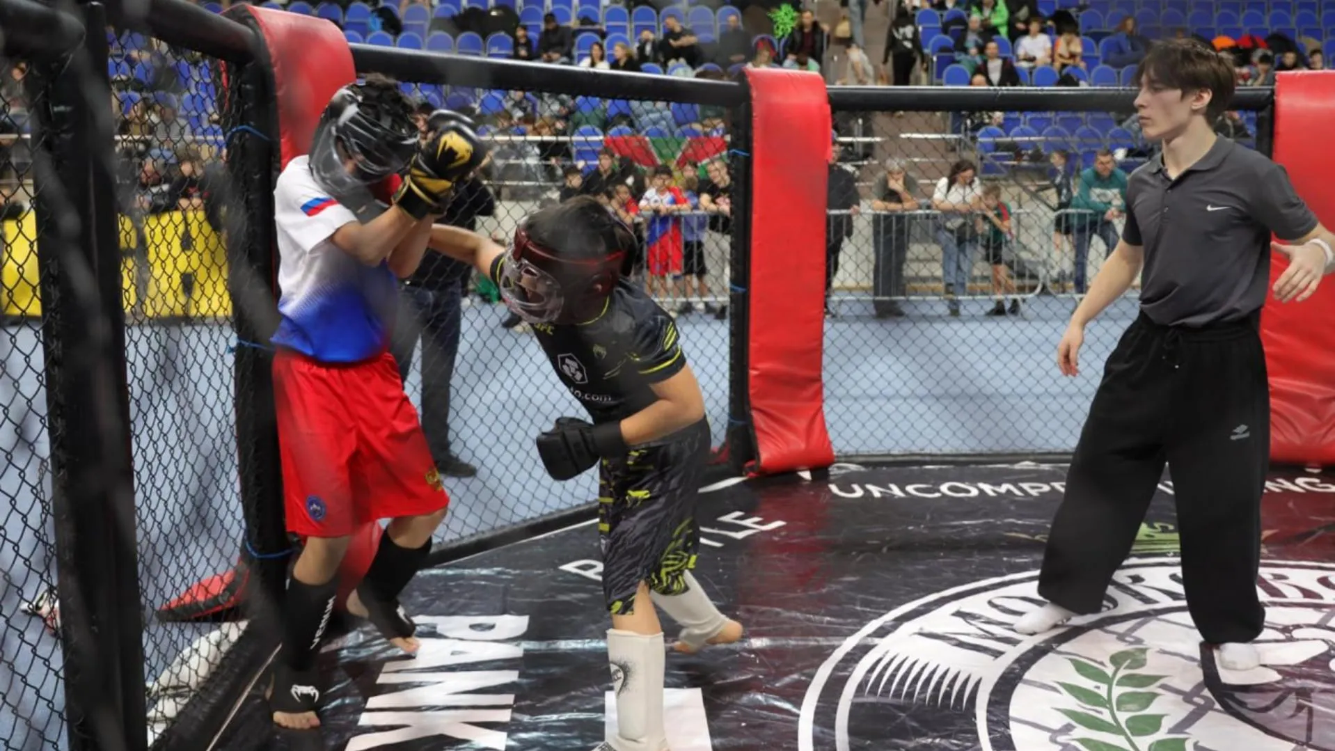 пресс-служба администрации Раменского округа