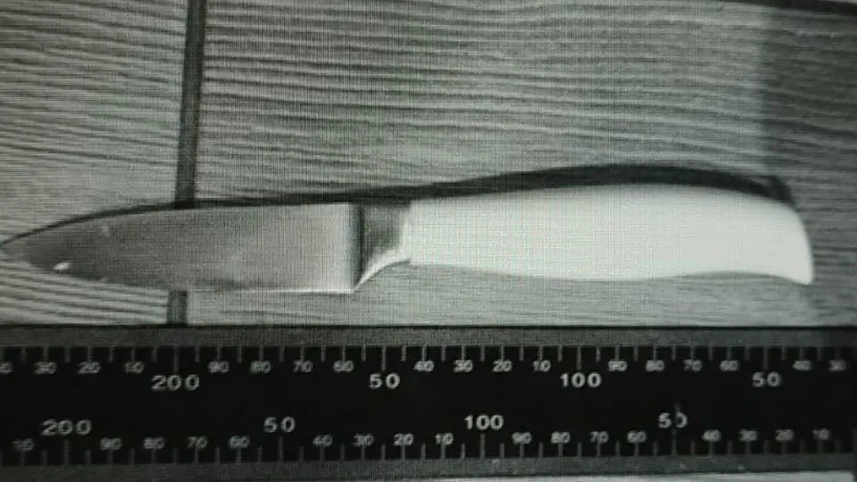 Фото: t.me/gsuskmosobl