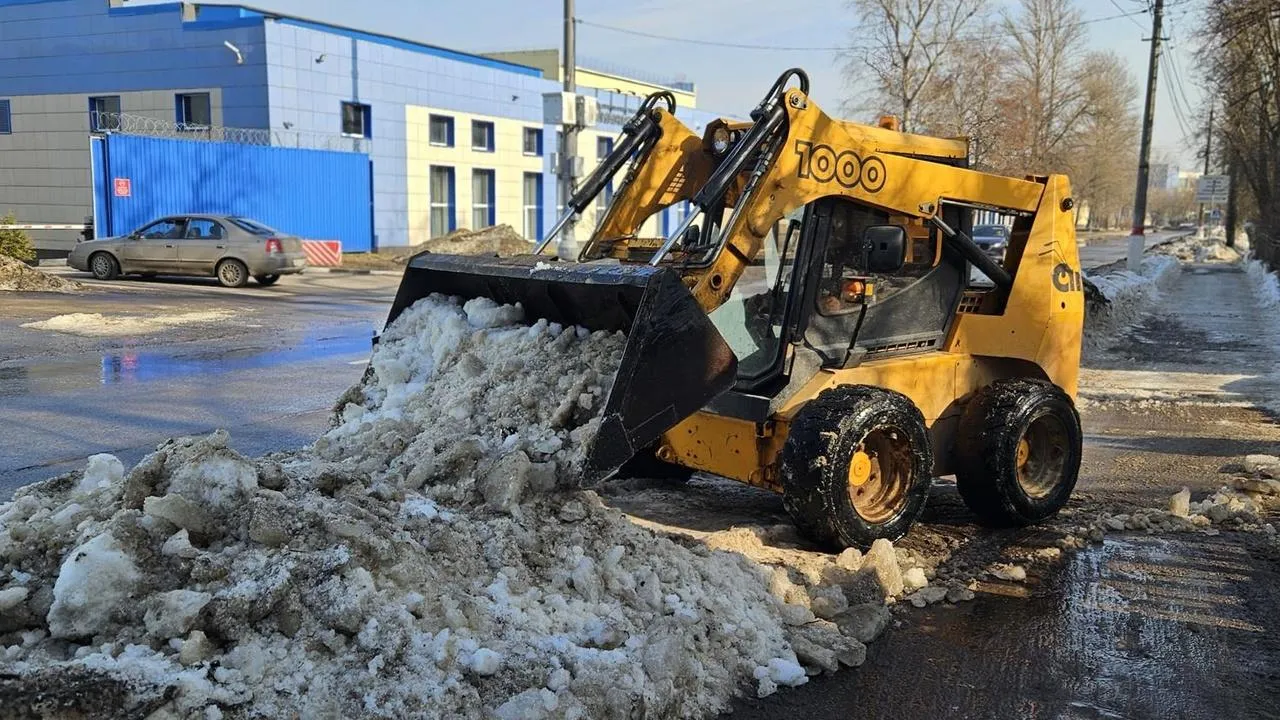 МедиаБанк Подмосковья/Ольга Вельшикаева