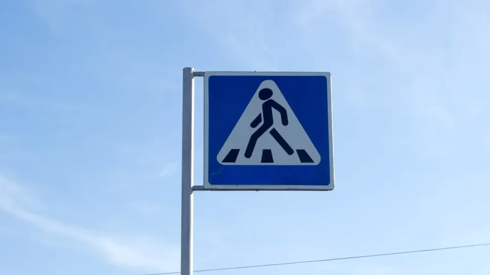 Фото: REGIONS/Игорь Рыжаков