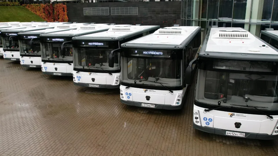 Фото: пресс-служба губернатора Московской области