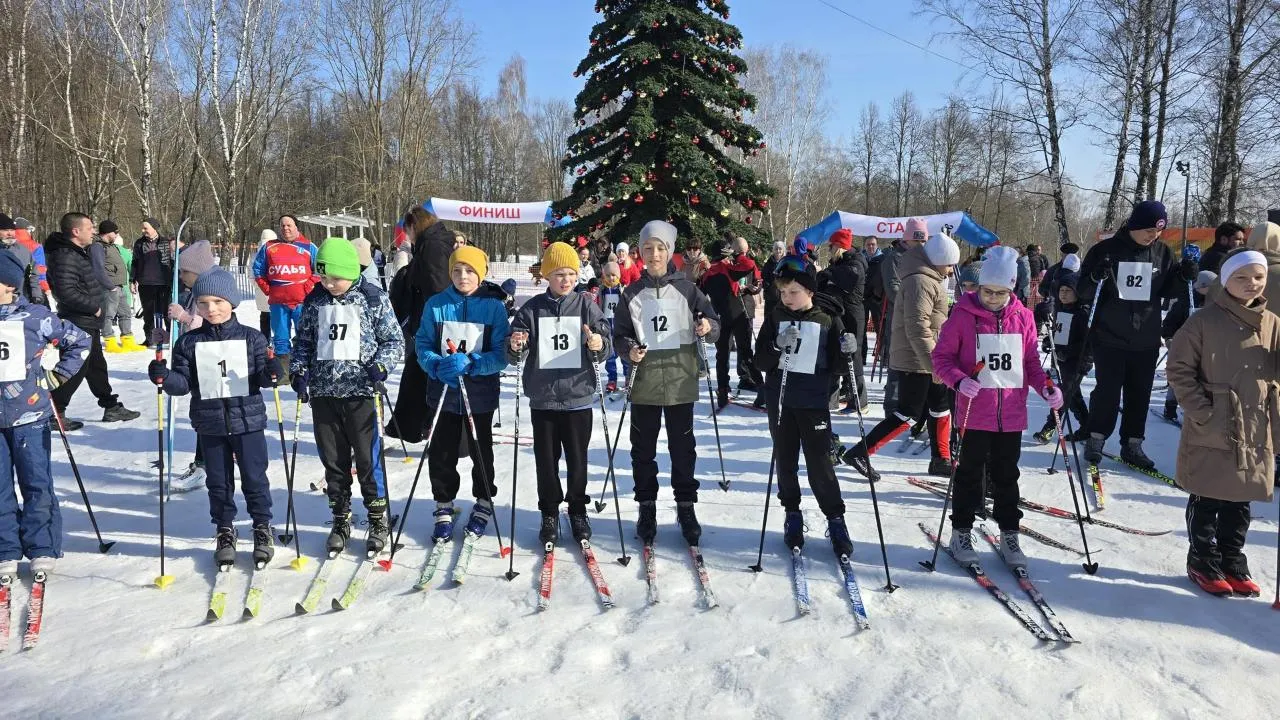 МедиаБанк Подмосковья/Марина Анисимова