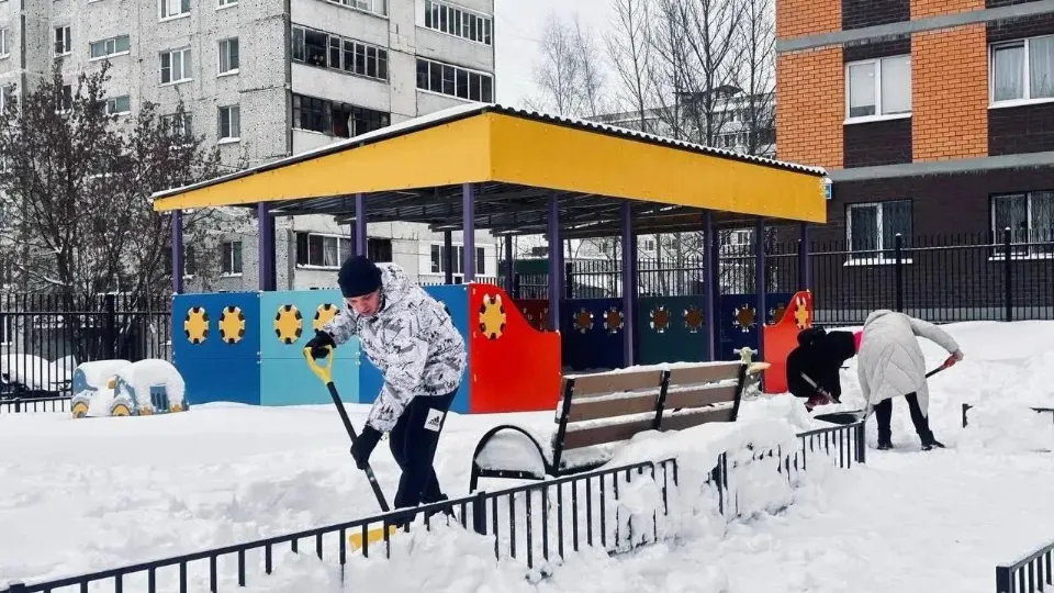 Фото: пресс-служба администрации Богородского городского округа