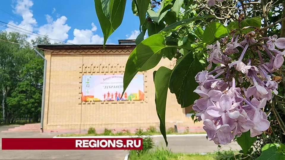 Фото: Светлана Плотникова