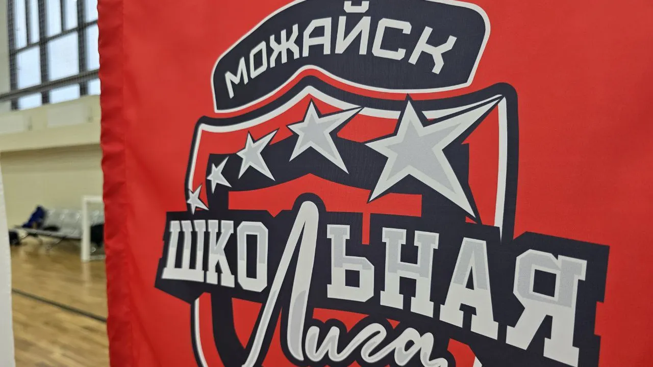 МедиаБанк Подмосковья/Яна Шаливская