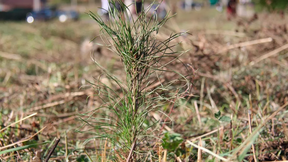 Фото: пресс-служба администрации м.о. Зарайск