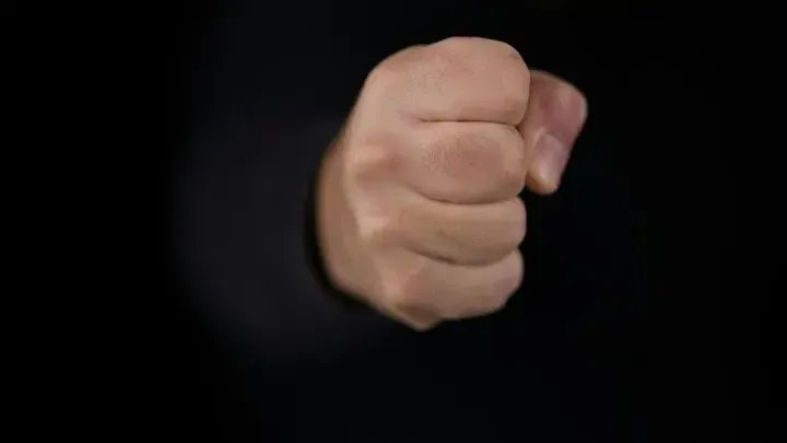 Протестующие в Белграде выгнали провокаторов с флагами ЕС