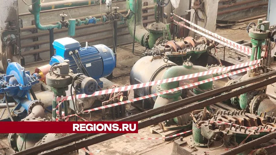 Фото: Ольга Сычева