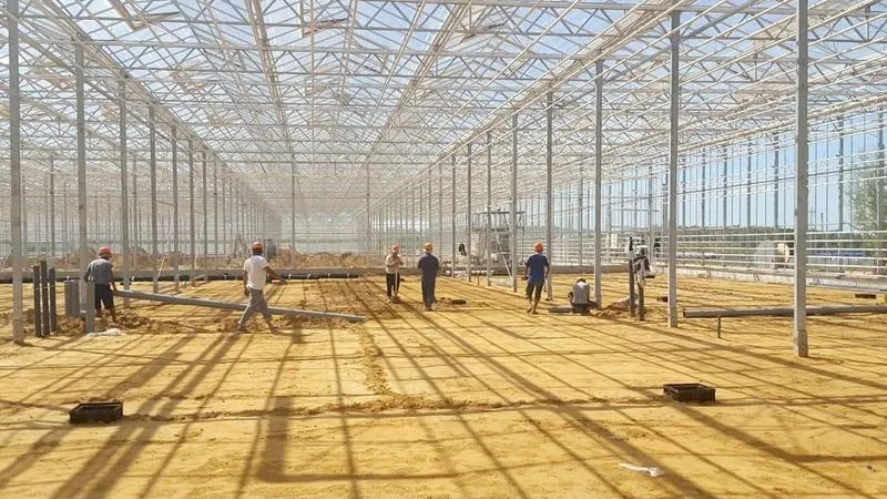Полтысячи рабочих мест создаст новый тепличный комплекс в Кашире