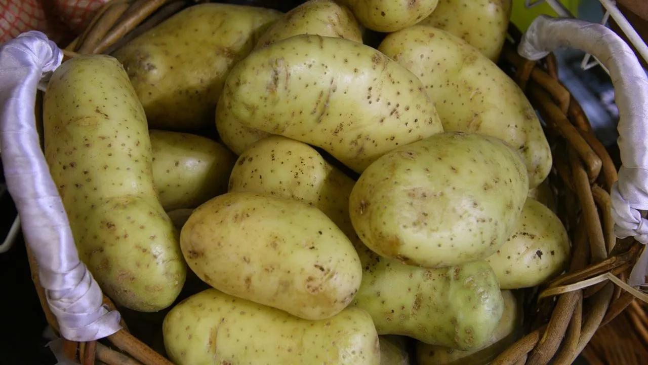 медиасток.рф