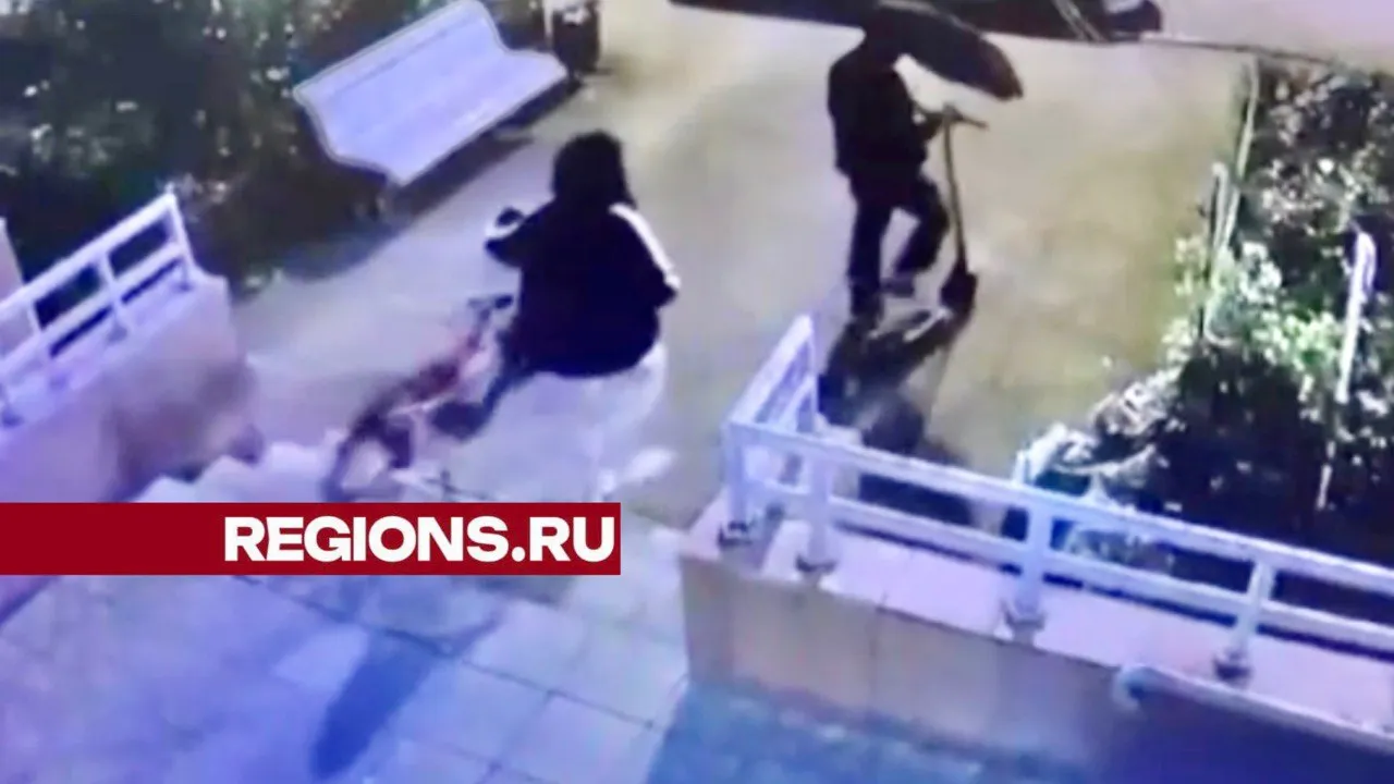 Фото: t.me/zaxbal