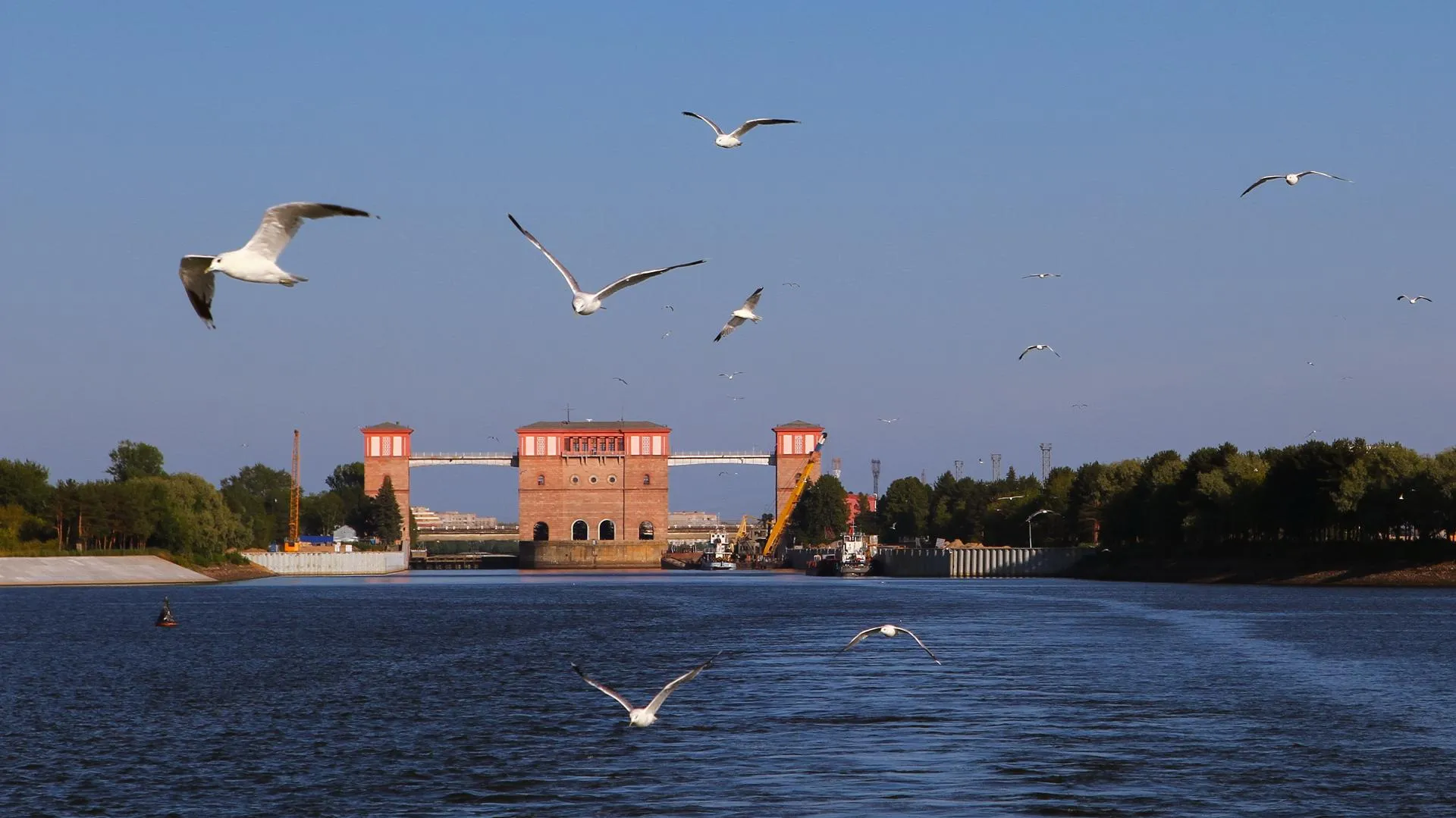 Картинка