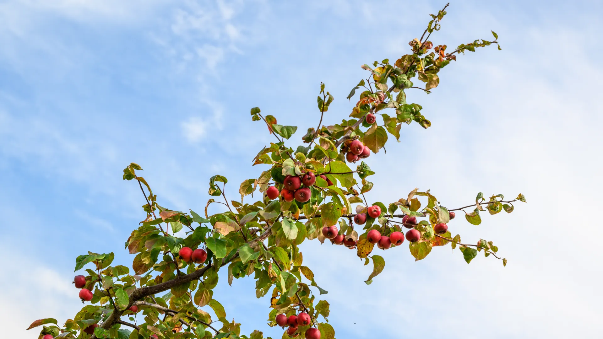 медиасток.рф