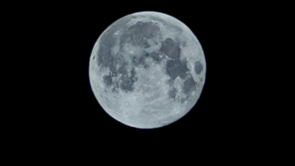 Фото: REGIONS/Алексей Селиверстов