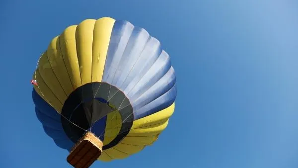 На Украине спасли туристов, которые на воздушном шаре застряли на дереве