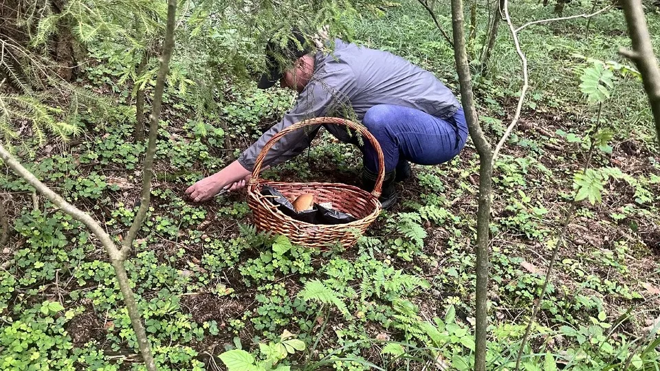 Фото: МедиаБанк Подмосковья/Елизавета Приймак
