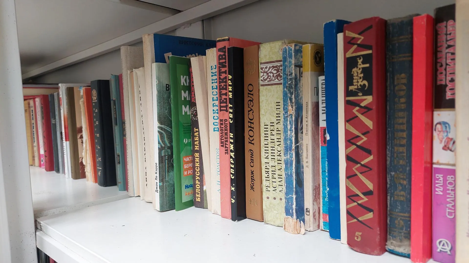 Фото: Светлана Плотникова