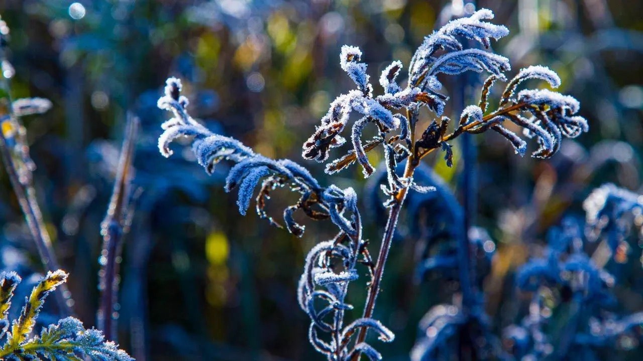 REGIONS/Владимир Ерастов