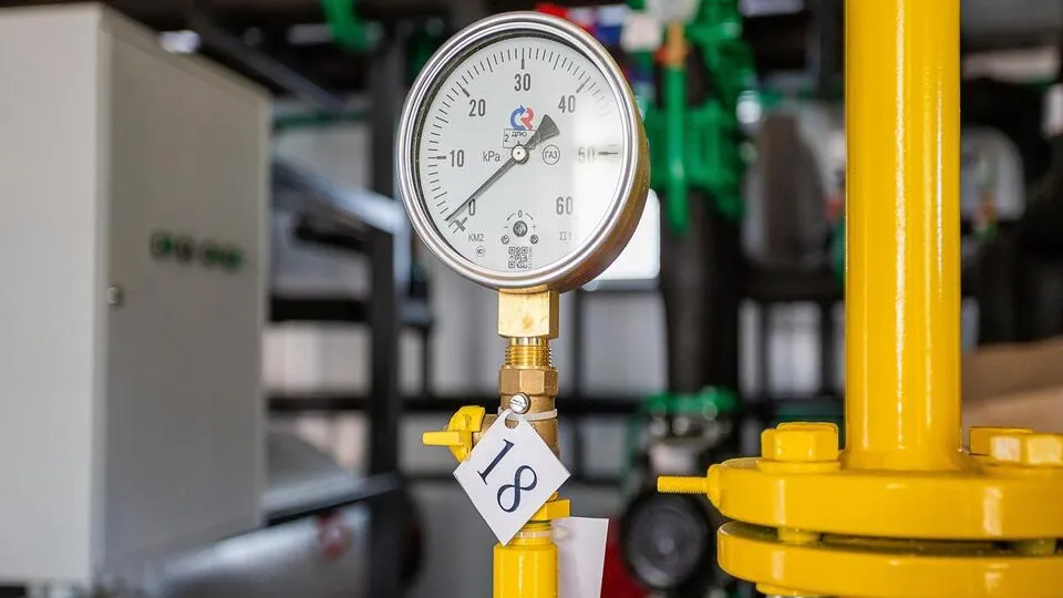 Фото: пресс-служба администрации г.о. Кашира