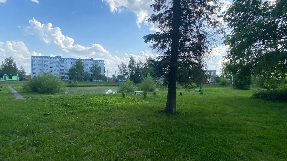 Фото: t.me/RGTihomirova