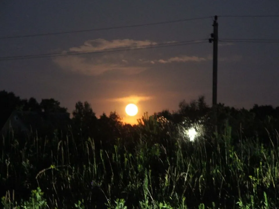 Фото: МедиаБанк Подмосковья/Яна Шаливская