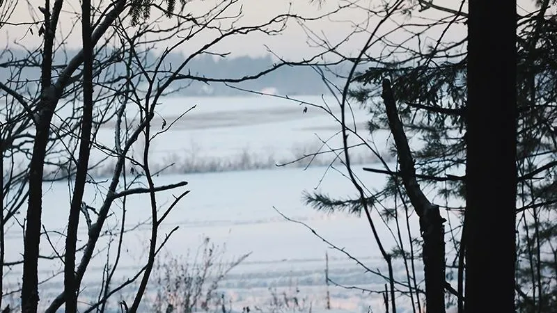 Тайна блудных оврагов близ села Сенницы