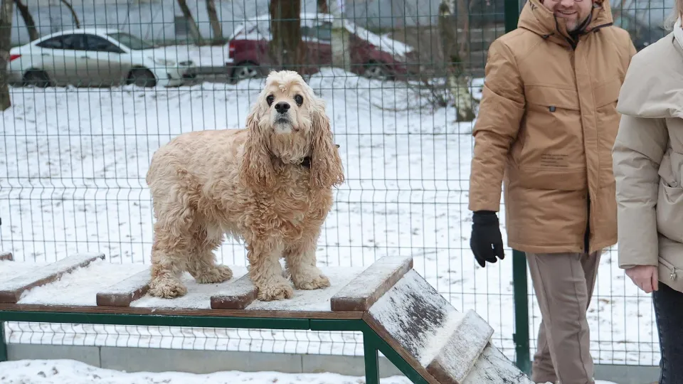 Фото: администрация г.о. Балашиха