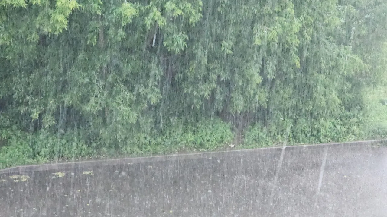 Фото: Наталия Надточая