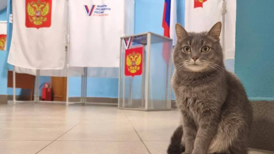 Фото: Мособлизбирком