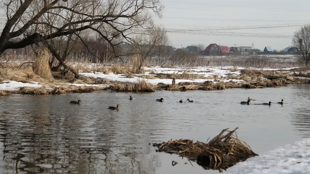 медиасток.рф