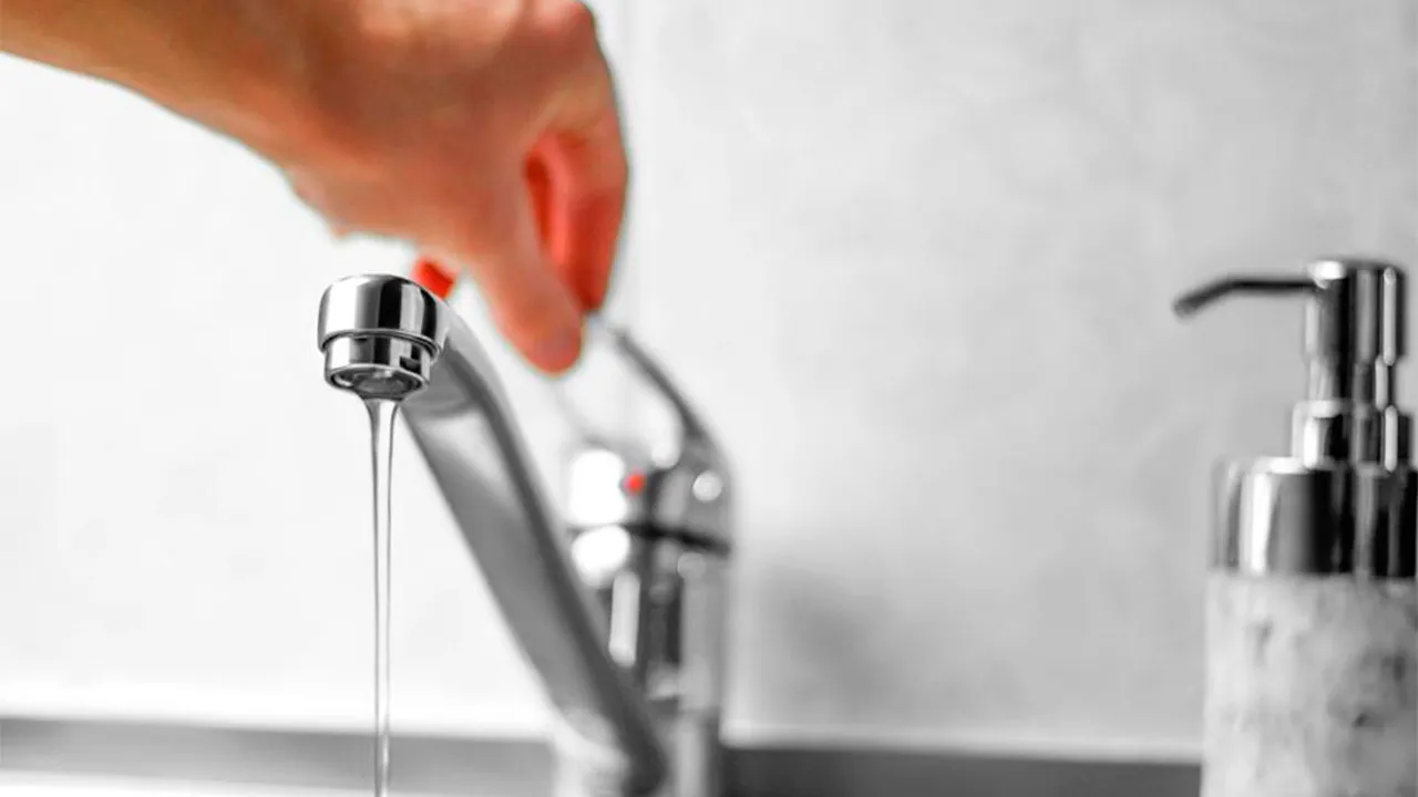 istockphoto.com/Viktoriya Kuzmenkova