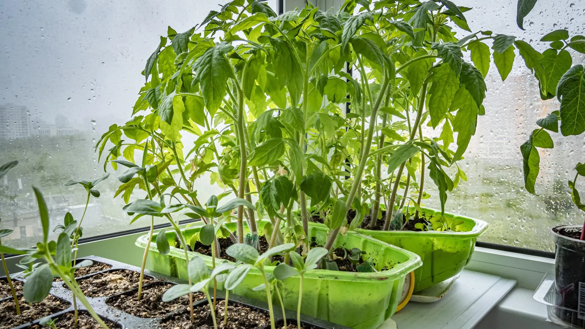 Konstantin Kokoshkin/Global Look Press