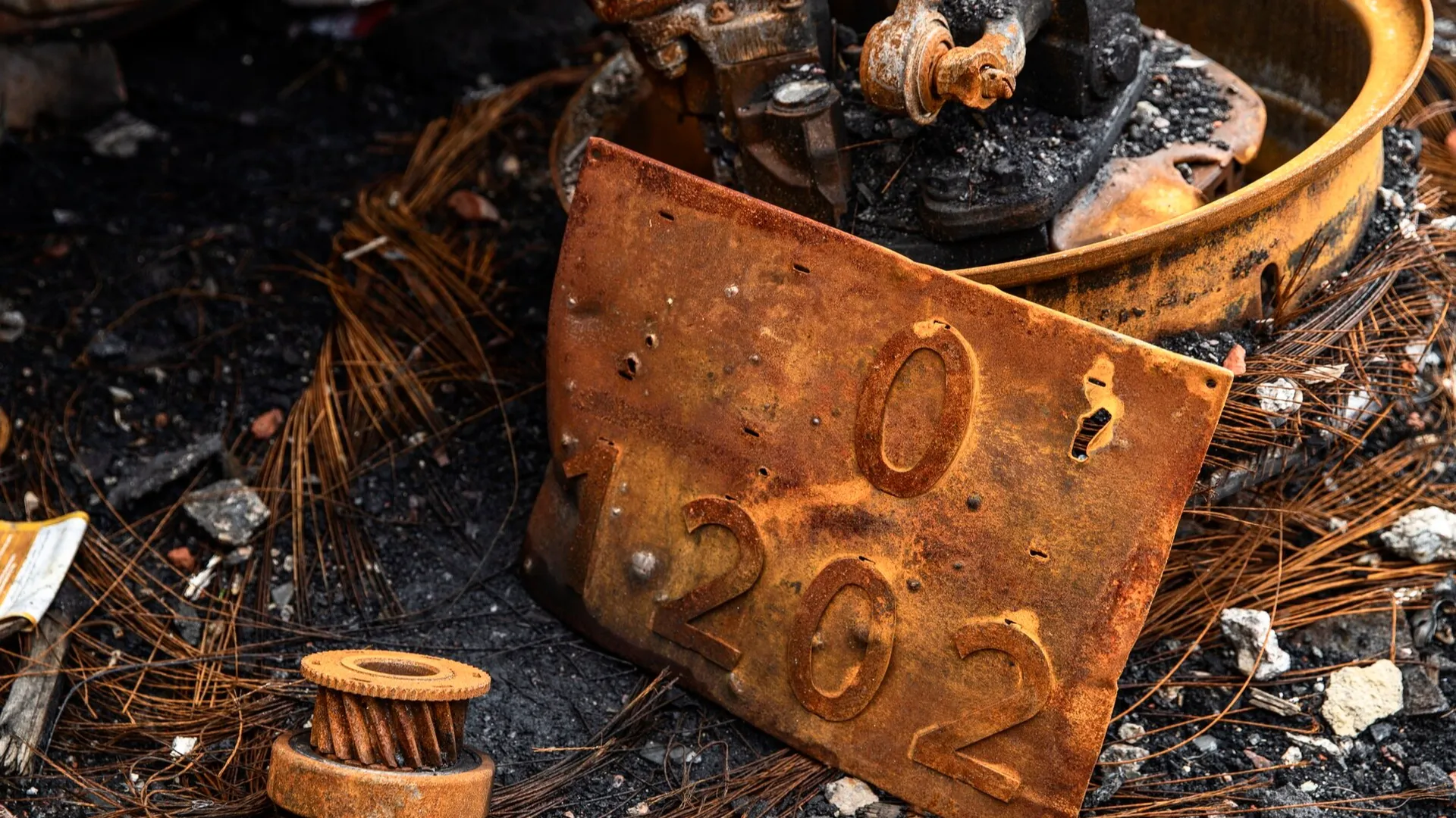 Фото: freepik.com