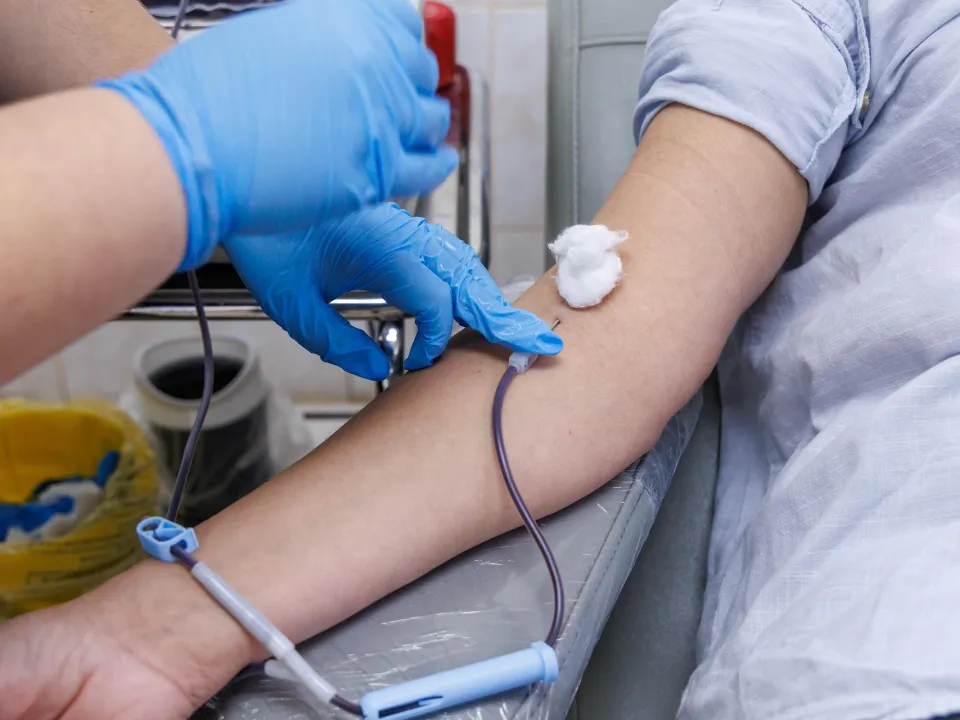 Фото: МедиаБанк Подмосковья/Наталья Лымарь