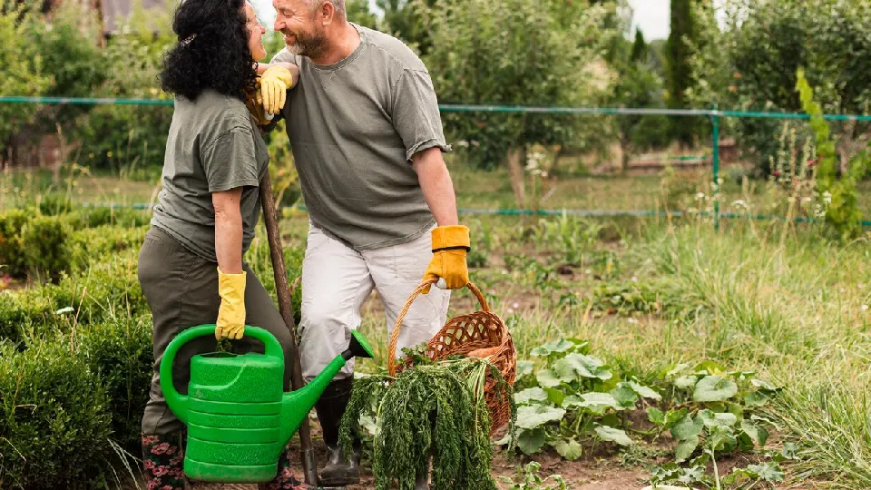 Фото: freepik.com