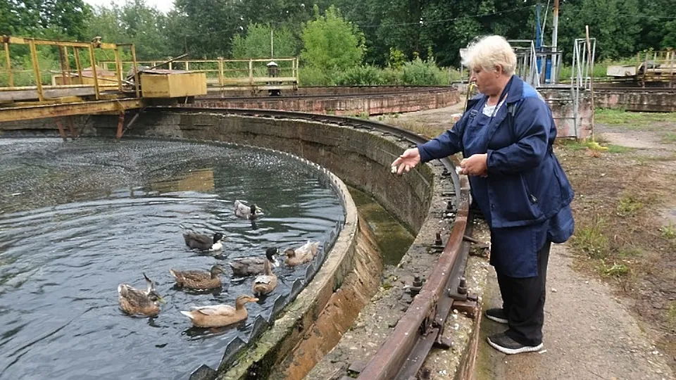 Фото: Мария Панина