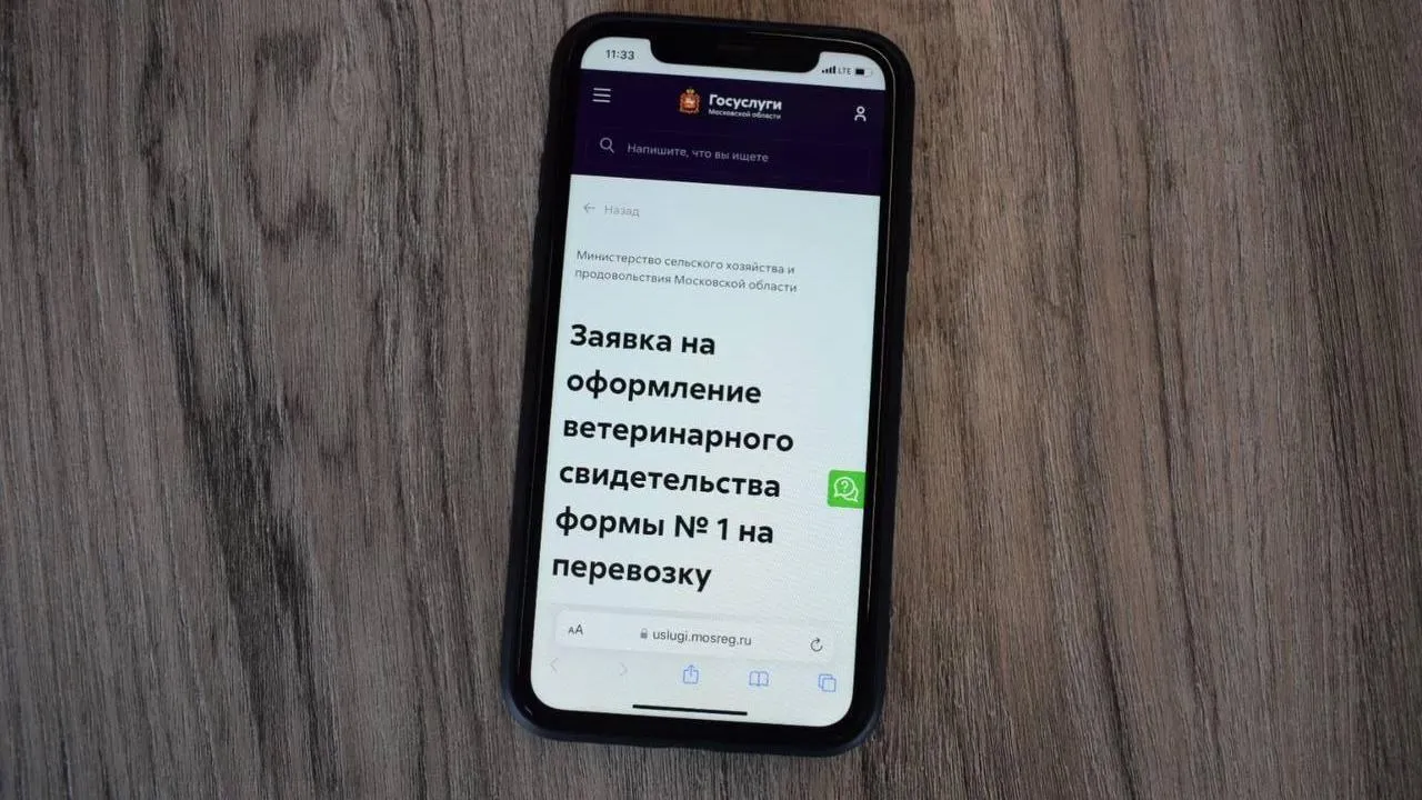 В Подмосковье можно онлайн подать заявку на оформление ветеринарной справки для перевозки питомца