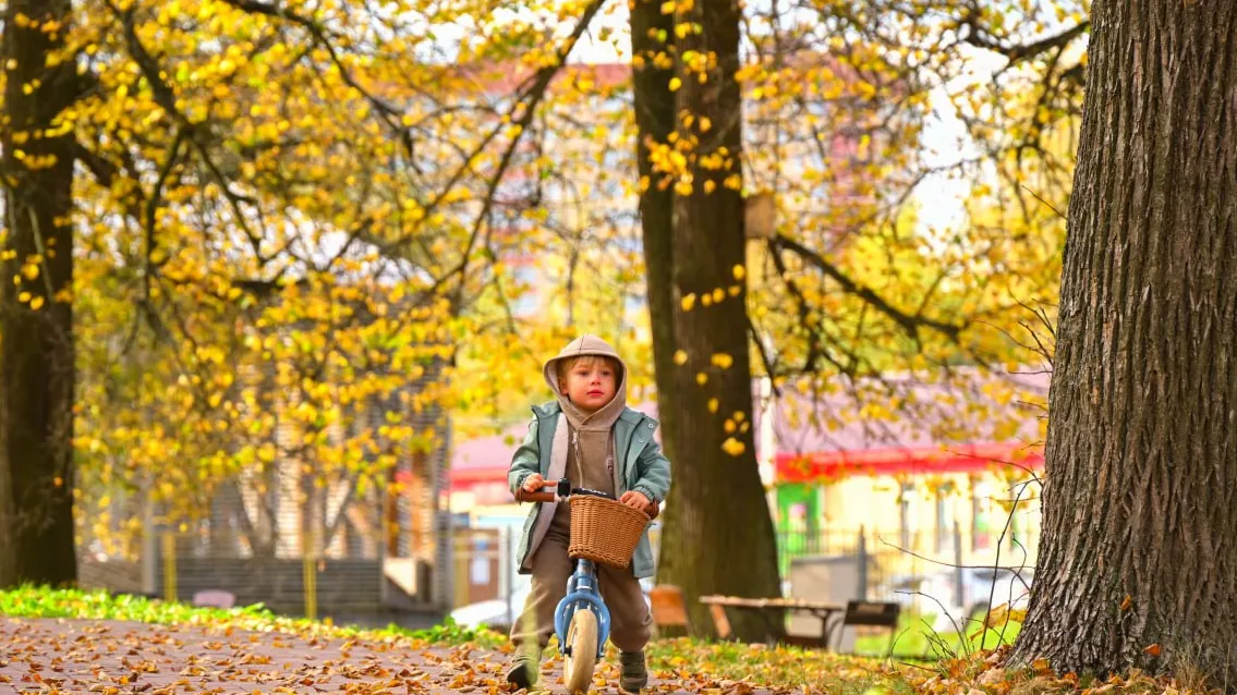 Фото: t.me/parkskitskieprudy