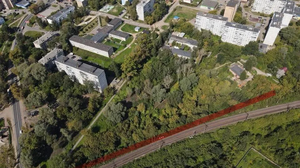 Фото: пресс-служба администрации Орехово-Зуевского округа