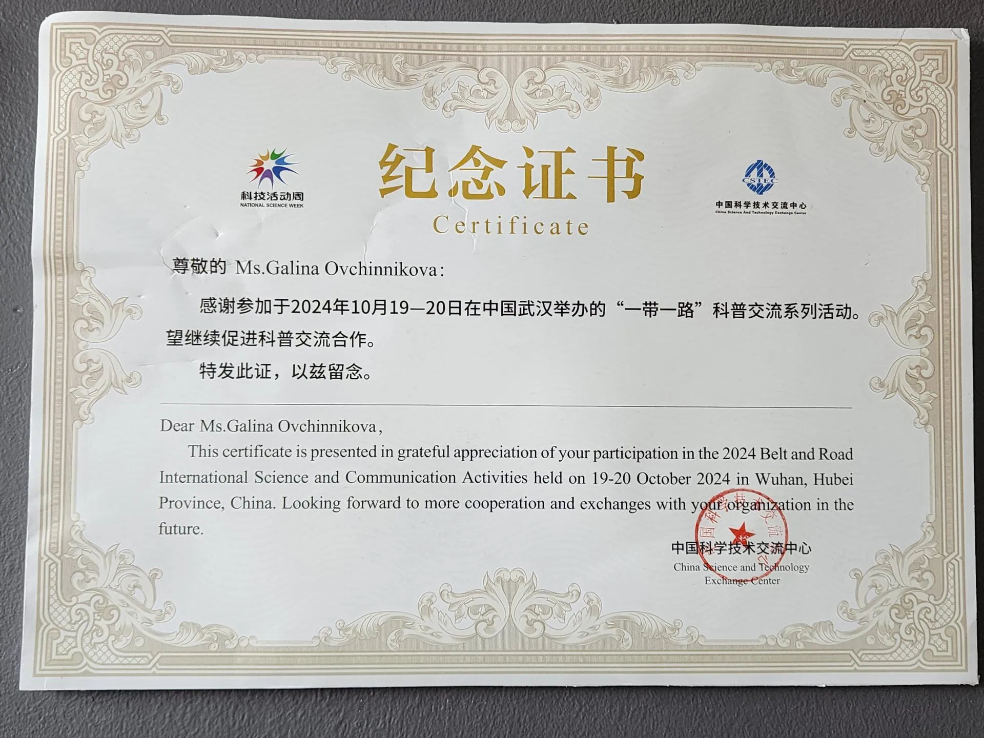 REGIONS/Елена Шумакова