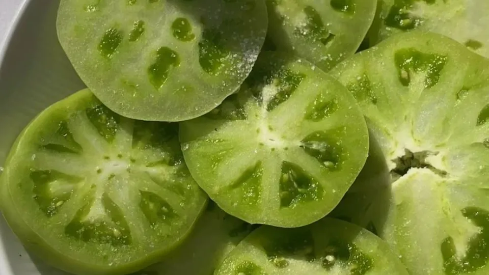 Фото: личный архив Натальи Гулик