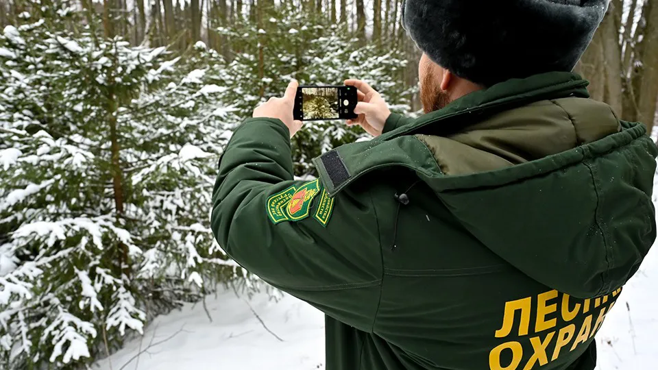 Фото: пресс-служба администрации г.о. Серпухов