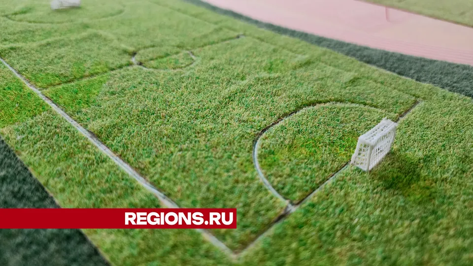 Фото: REGIONS/Василий Тремасов